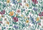 LIBERTY FABRICS oeBvg Y^i[n(G^[i)<br>Rachel Meadow(C`FEhD)2349022XE