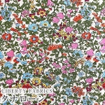 LIBERTY FABRICS oeBvg C^A^i[n<br>Babingdon(orh)yItzCgnz3634236-24AUs2024AW The Curated Floralt