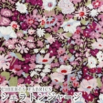 LIBERTY FABRICS oeBvg YVFgW[W(^iW[W)n 60/2V<br>Thorpe(\[v)3339005BK