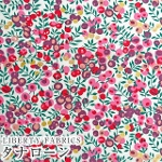 LIBERTY FABRICS oeBvg Y^i[n<br>Wiltshire(EBgV[)yzCgn~sNp[vz3339009P-J24E